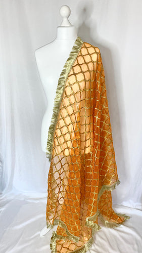 Organza Dupatta in Burnt Orange