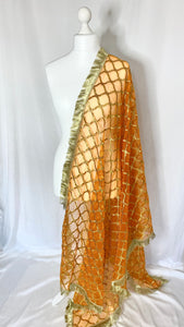 Organza Dupatta in Burnt Orange